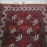 603 5597 ORIENTAL RUG